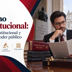 derecho constitucional y control del poder publico